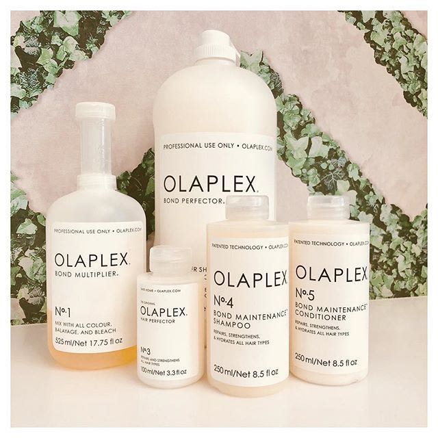 Ombre or Colour Haircut Olaplex Treatment
